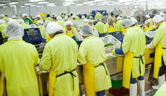 Empresas de uniformes ejecutivos